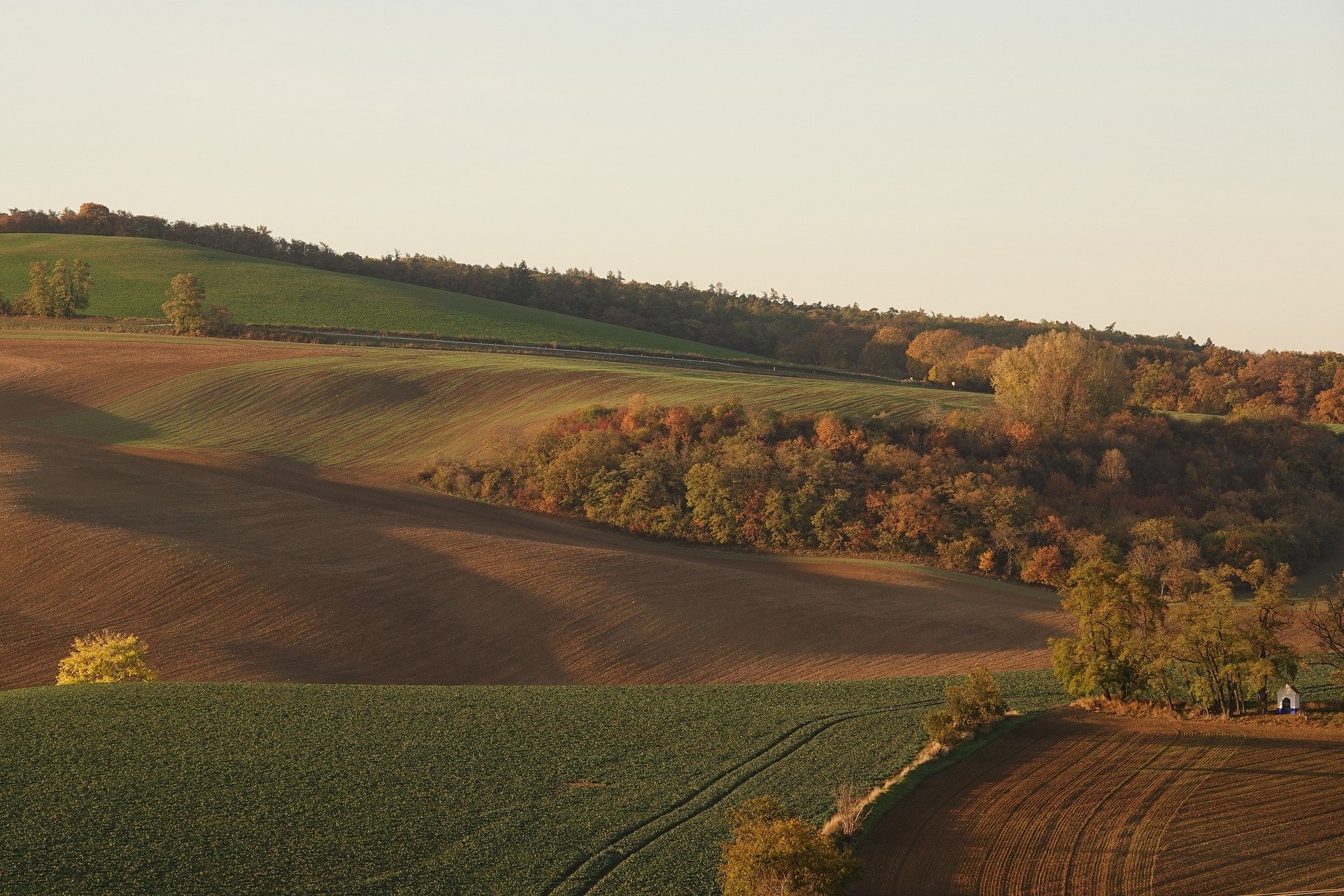 Agricultural fields at sunset
